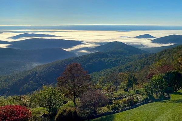 Free Union, Virginia Yoga Retreat for Justice-Sensitive People