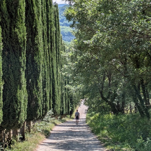 Road with cypress trees at Le Pianore Tuscany retreat