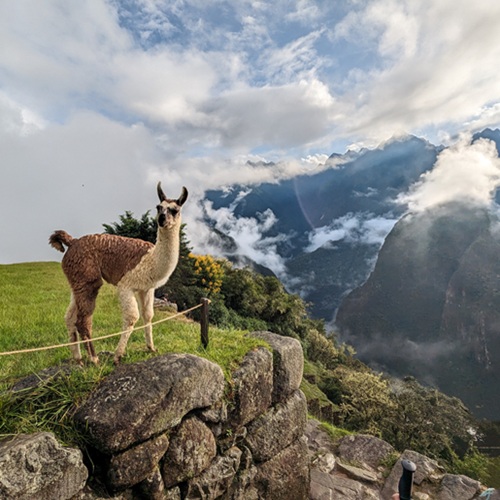 Photo by Ines Göhringer on Unsplash