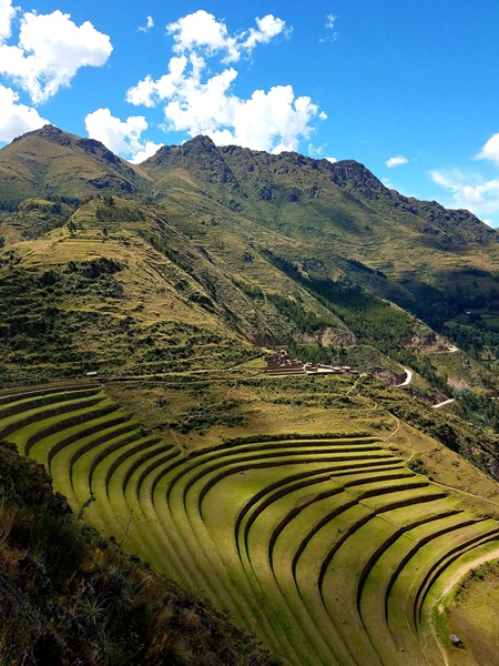 Pisac Ruins 450x600
